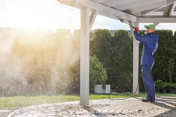 Best Gutter Cleaning  in Seminole Manor, FL
